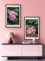 For Rose Lovers — Pink Rainy Roses Closeup Photography | Unframed Canvas Wall Art Set of 4 for Living Room