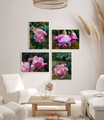 For Rose Lovers — Pink Rainy Roses Closeup Photography | Unframed Canvas Wall Art Set of 4 for Living Room