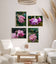 For Rose Lovers — Pink Rainy Roses Closeup Photography | Unframed Canvas Wall Art Set of 4 for Living Room