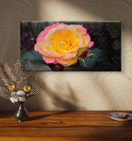 Pink & Yellow Sunrise Rose Canvas Art | Radiate Joy & Optimism in Your Space | Authentic Garden Photography | Biophilic Horizontal Wall Decor