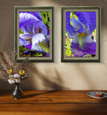 Purple Iris Canvas Print Set of 4 | Step Inside Spring's Most Dramatic Bloom | Authentic Macro Photography | Biophilic Horizontal & Vertical Wall Art