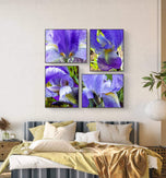 Purple Iris Canvas Print Set of 4 | Step Inside Spring's Most Dramatic Bloom | Authentic Macro Photography | Biophilic Horizontal & Vertical Wall Art