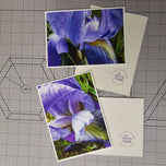 Purple Iris Canvas Print Set of 4 | Step Inside Spring's Most Dramatic Bloom | Authentic Macro Photography | Biophilic Horizontal & Vertical Wall Art