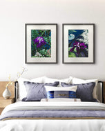 Summer Brilliance — Purple Iris Flower Photography | Unframed Vertical Canvas Wall Art Set of 2 for Living Room
