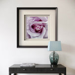 For Rose Lovers — Purple Rose Closeup Photography | Unframed Square Canvas Wall Art Print for Living Room