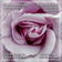 For Rose Lovers — Purple Rose Closeup Photography | Unframed Square Canvas Wall Art Print for Living Room