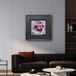 For Rose Lovers — Purple Rose Closeup Photography | Unframed Square Canvas Wall Art Print for Living Room