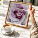 For Rose Lovers — Purple Rose Closeup Photography | Unframed Square Canvas Wall Art Print for Living Room