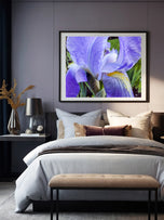 Digital 5 Prints 2x3, 3x4, 4x5, 5x7, 11x14 Ratios | Purple Iris Flower Authentic Macro Photography | Instant Download for Home Wall Art Decor & Multi-Device Wallpapers