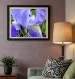 Digital 5 Prints 2x3, 3x4, 4x5, 5x7, 11x14 Ratios | Purple Iris Flower Authentic Macro Photography | Instant Download for Home Wall Art Decor & Multi-Device Wallpapers