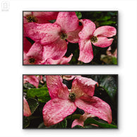 files/Rain-Kissed-Dogwood-Blossom-Pink-Canvas-Wall-Art-Set-of-2-Unframed-Horizontal-Macro-Photography-Prints_5.jpg