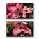 Moody Pink Dogwood Canvas Wall Art Set of 2 — Rain-Kissed Macro Botanical Prints