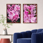 Rain-Kissed Pink Rhododendrons Canvas Wall Art Set of 3 | Pacific Northwest Macro Photography Vertical Prints | Botanical Décor for Home & Office