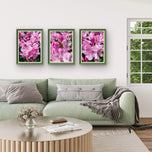 Rain-Kissed Pink Rhododendrons Canvas Wall Art Set of 3 | Pacific Northwest Macro Photography Vertical Prints | Botanical Décor for Home & Office