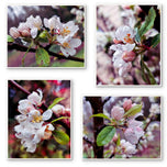 Rainy Apple Blossom Macro Photography Canvas Wall Art Set of 4 | Unframed Vertical & Horizontal Prints | Biophilic Décor for Living Room, Bedroom & Office