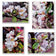 Rainy Apple Blossom Macro Photography Canvas Wall Art Set of 4 | Unframed Vertical & Horizontal Prints | Biophilic Décor for Living Room, Bedroom & Office