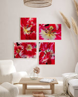 Red Tulip Macro Canvas Print Set of 4 | Feel Spring's Bold Energy | Authentic Floral Photography | Biophilic Vertical & Horizontal Wall Art