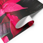 Red Poinsettia Premium Gift Wrap with Authentic Macro Photography | Wrapping Paper 3 Sheets Set | Holiday Botanical Design