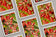 Digital 10 Prints 3x4 Ratio | Red Rhododendron Flowers Authentic Macro Photography | Instant Download for Home Wall Art Decor & Multi-Device Wallpapers