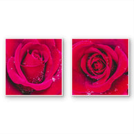 files/Red-Roses-with-Raindrops-Macro-Photography-Canvas-Wall-Art-Set-of-2-Square-Prints_4.jpg