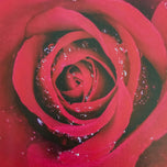 Kissed by Rain — Red Roses with Raindrops | Macro Photography Canvas Wall Art | Set of 2 Square Prints