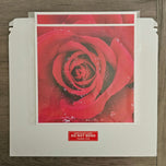 Kissed by Rain — Red Roses with Raindrops | Macro Photography Canvas Wall Art | Set of 2 Square Prints
