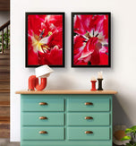 Red Tulip Macro Canvas Print Set of 4 | Feel Spring's Bold Energy | Authentic Floral Photography | Biophilic Vertical & Horizontal Wall Art