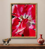Red Tulip Macro Canvas Print Set of 4 | Feel Spring's Bold Energy | Authentic Floral Photography | Biophilic Vertical & Horizontal Wall Art