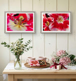 Red Tulip Macro Canvas Print Set of 4 | Feel Spring's Bold Energy | Authentic Floral Photography | Biophilic Vertical & Horizontal Wall Art