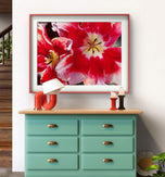 Red Tulip Macro Canvas Print Set of 4 | Feel Spring's Bold Energy | Authentic Floral Photography | Biophilic Vertical & Horizontal Wall Art