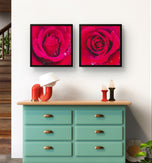 Red Roses with Raindrops | Authentic Nature Macro Photography | Unframed Canvas 2 Square Prints Set | Biophilic Style Wall Art for Home Décor