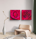 Red Roses with Raindrops | Authentic Nature Macro Photography | Unframed Canvas 2 Square Prints Set | Biophilic Style Wall Art for Home Décor