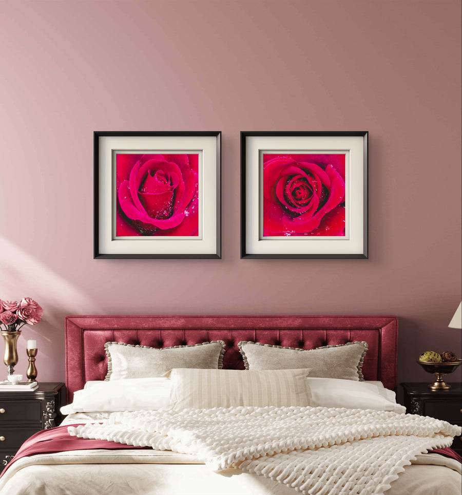 Bedroom with pink walls, a bed with white bedding, and two framed red rose macro photography artworks.