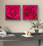 Red Roses with Raindrops | Authentic Nature Macro Photography | Unframed Canvas 2 Square Prints Set | Biophilic Style Wall Art for Home Décor