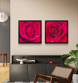 Red Roses with Raindrops | Authentic Nature Macro Photography | Unframed Canvas 2 Square Prints Set | Biophilic Style Wall Art for Home Décor