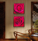 Red Roses with Raindrops | Authentic Nature Macro Photography | Unframed Canvas 2 Square Prints Set | Biophilic Style Wall Art for Home Décor