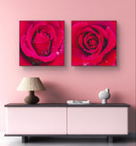 Red Roses with Raindrops | Authentic Nature Macro Photography | Unframed Canvas 2 Square Prints Set | Biophilic Style Wall Art for Home Décor