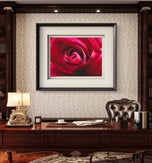 Red Rose Petals with Raindrops | Authentic Nature Macro Photography Print | Horizontal Unframed Canvas | Biophilic Wall Art Décor