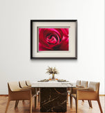 Red Rose Petals with Raindrops | Authentic Nature Macro Photography Print | Horizontal Unframed Canvas | Biophilic Wall Art Décor