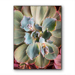 Sage Green Succulent Canvas Wall Art — Unframed Vertical Macro Photography Print | Botanical Closeup Decor for Bedroom, Bathroom & Spa | 3 Sizes