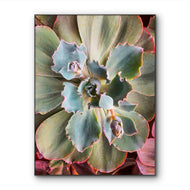 Sage Green Succulent Canvas Wall Art — Unframed Vertical Macro Photography Print | Botanical Closeup Decor for Bedroom, Bathroom & Spa | 3 Sizes