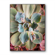 files/Sage-Green-Succulent-Canvas-Wall-Art-Unframed-Vertical-Macro-Photography-Print.jpg
