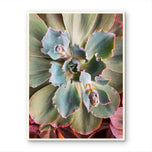 Sage Green Succulent Canvas Wall Art — Unframed Vertical Macro Photography Print | Botanical Closeup Decor for Bedroom, Bathroom & Spa | 3 Sizes