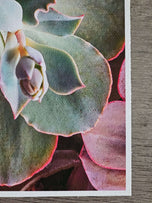 Sage Green Succulent Canvas Wall Art — Unframed Vertical Macro Photography Print | Botanical Closeup Decor for Bedroom, Bathroom & Spa | 3 Sizes