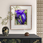 Kissed by Rain — Siberian Iris Macro Photography | Unframed Canvas Print | Purple Floral Wall Art