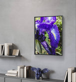 Kissed by Rain — Siberian Iris Macro Photography | Unframed Canvas Print | Purple Floral Wall Art