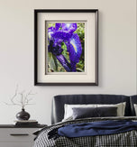 Kissed by Rain — Siberian Iris Macro Photography | Unframed Canvas Print | Purple Floral Wall Art