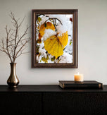 Winter Snowy Leaves Photography | Nature's Seasonal Magic | Set of 4 Canvas Prints | Biophilic Wall Art