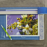 Kissed by Rain — Spirea Flowers with Raindrops Macro Photography | Biophilic White Floral Canvas Wall Art | Unframed Horizontal Print