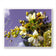Kissed by Rain — Spirea Flowers with Raindrops Macro Photography | Biophilic White Floral Canvas Wall Art | Unframed Horizontal Print